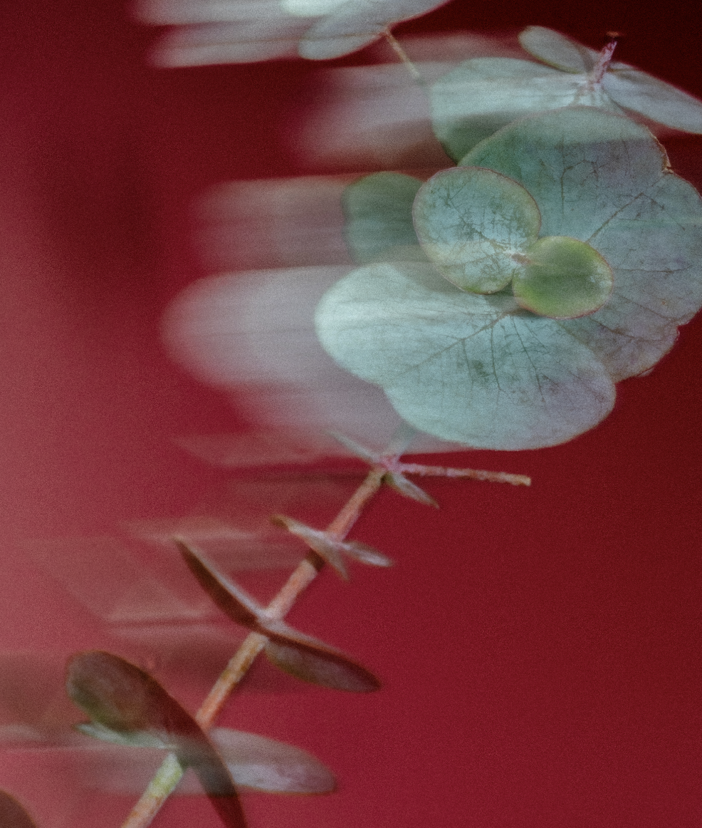 Candles & Room Sprays