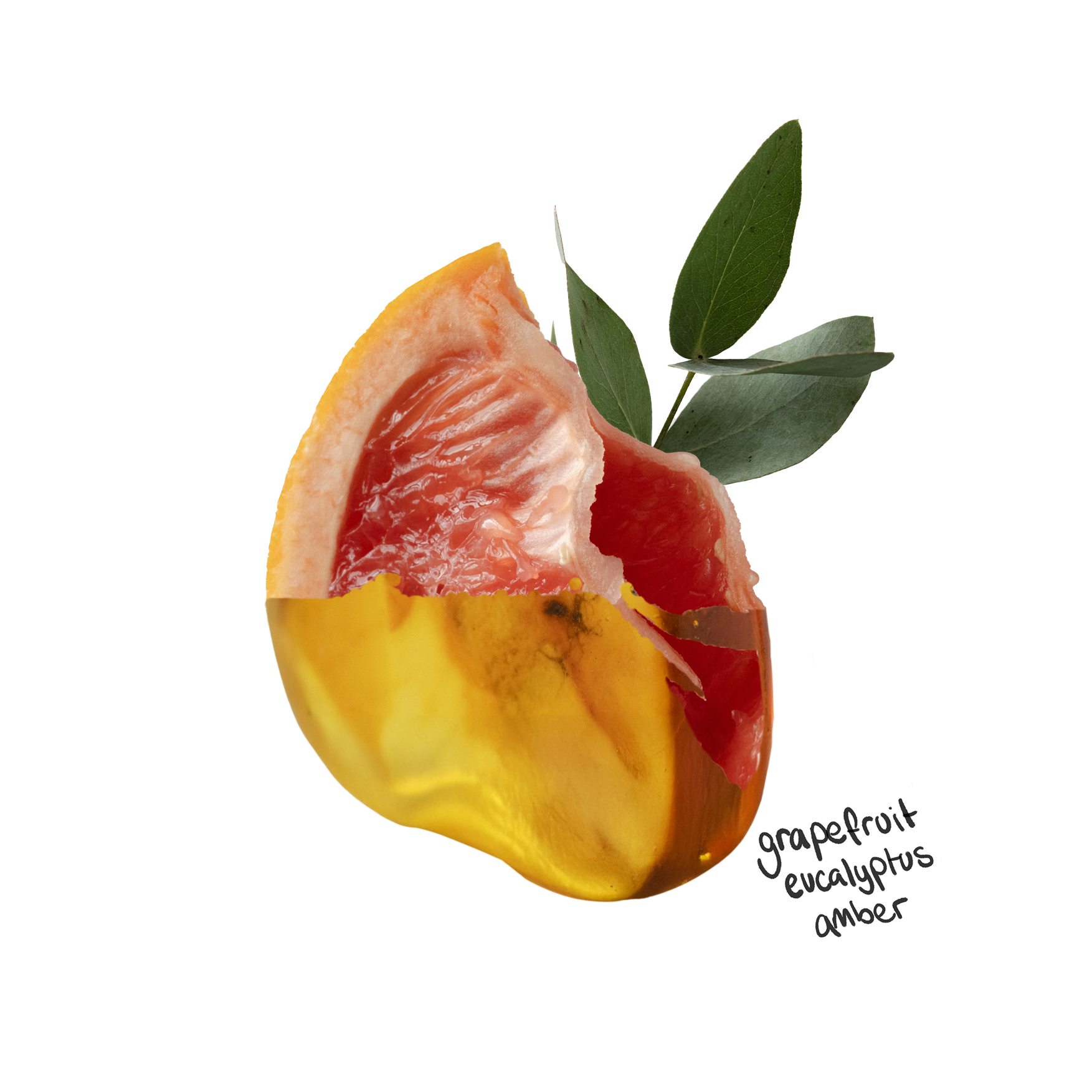 Energising Fabric Conditioner 1 Litre