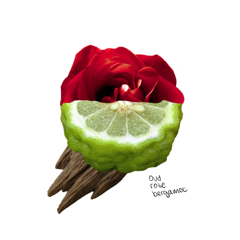 Welcoming Laundry Detergent Strips 64 Loads