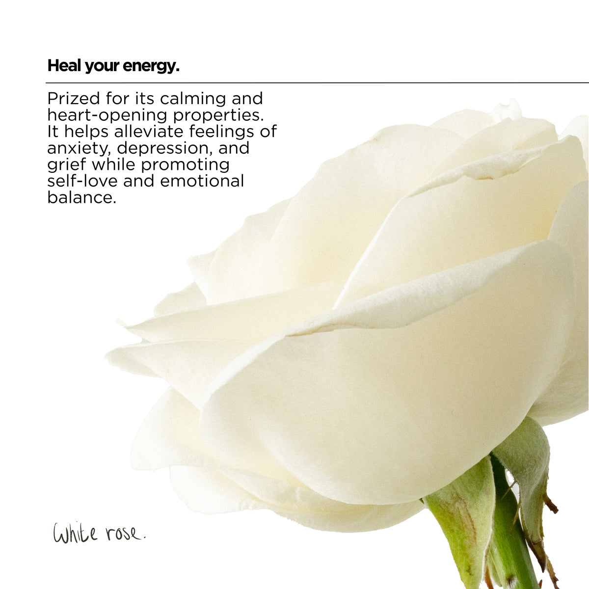 Soothing Laundry Detergent Strips - 3 Strip Sample Pack