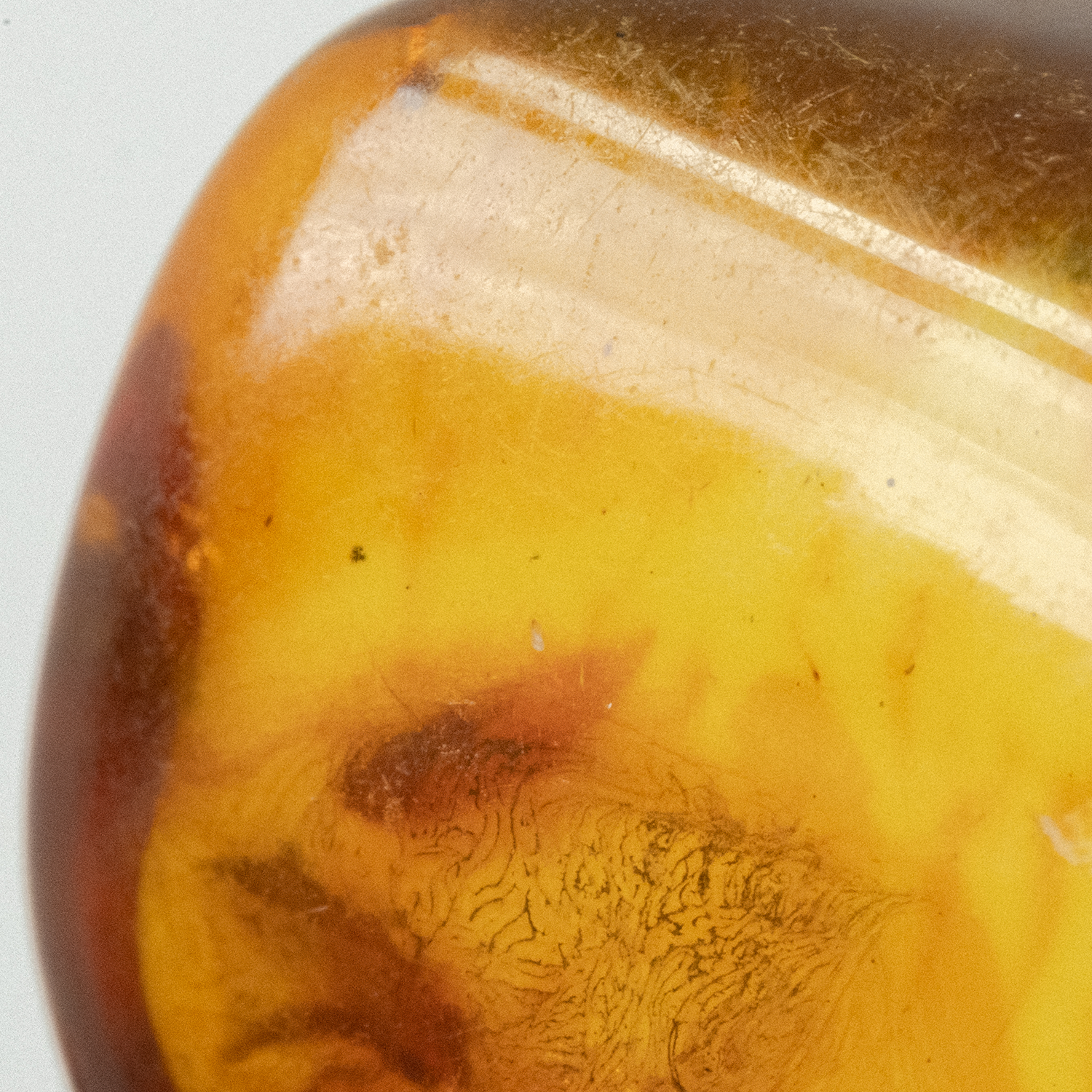 Energising All Purpose Cleaner 750ml