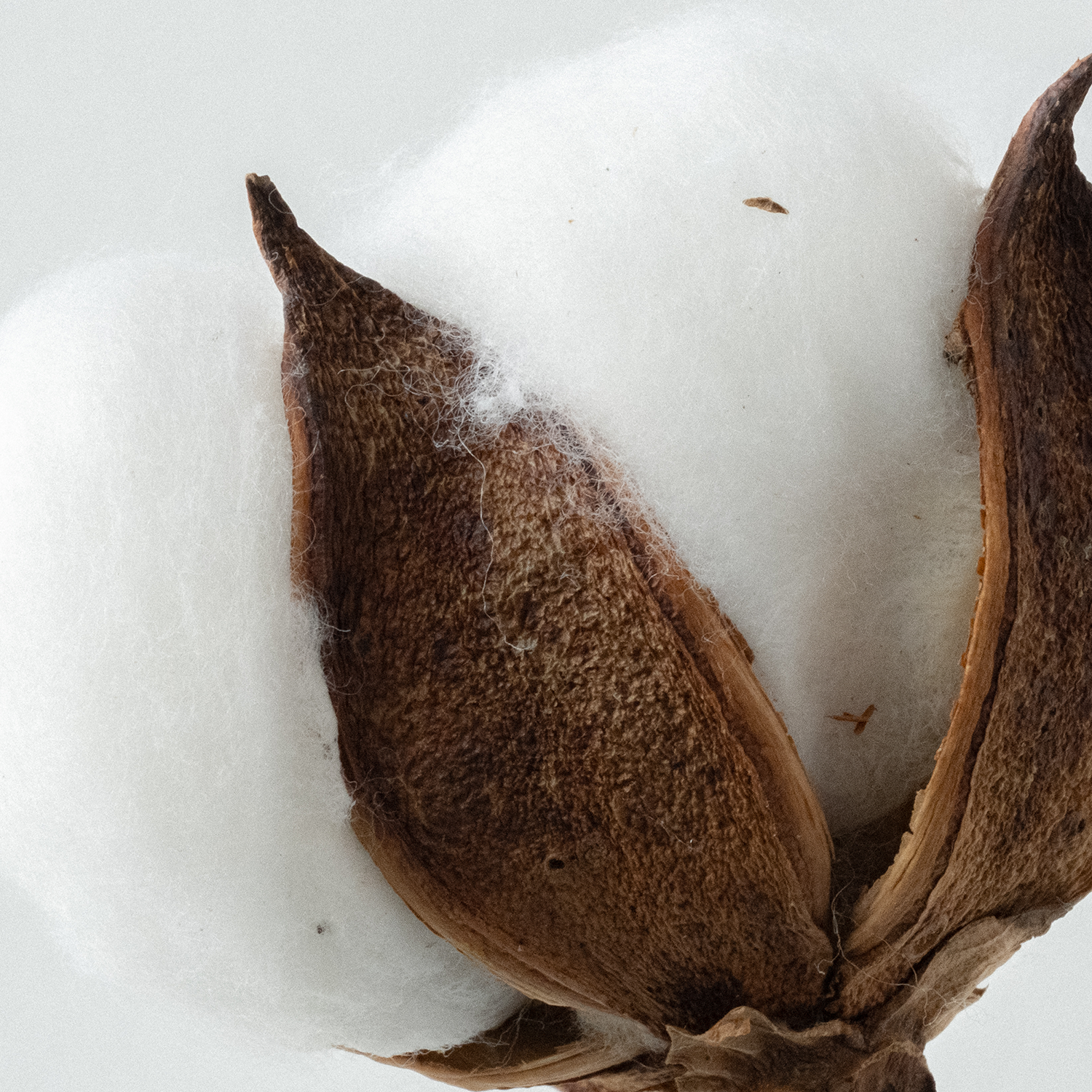 Relaxing 100% Soy Wax Candle 280g