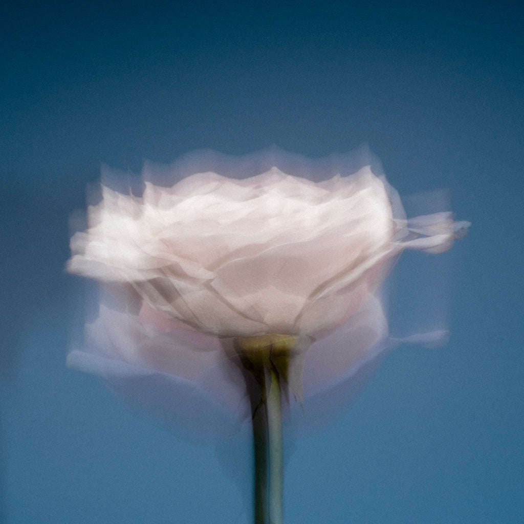 Eau de Parfum